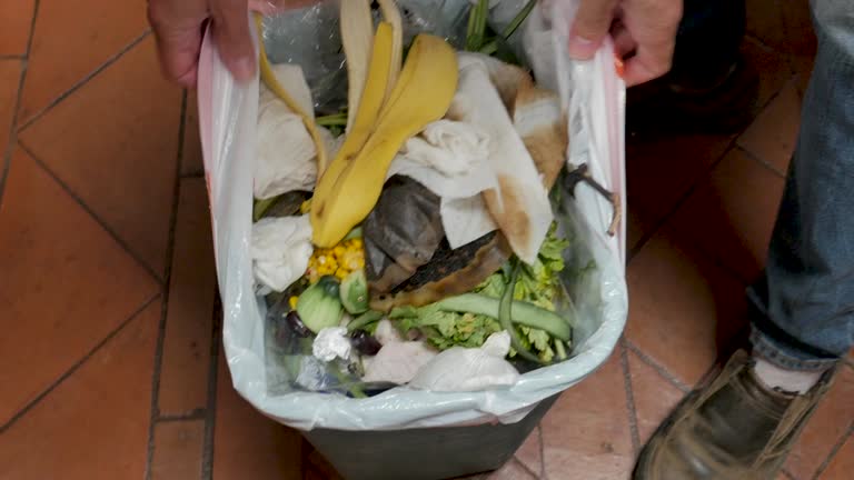 Best Commercial Junk Removal  in Ada, MN